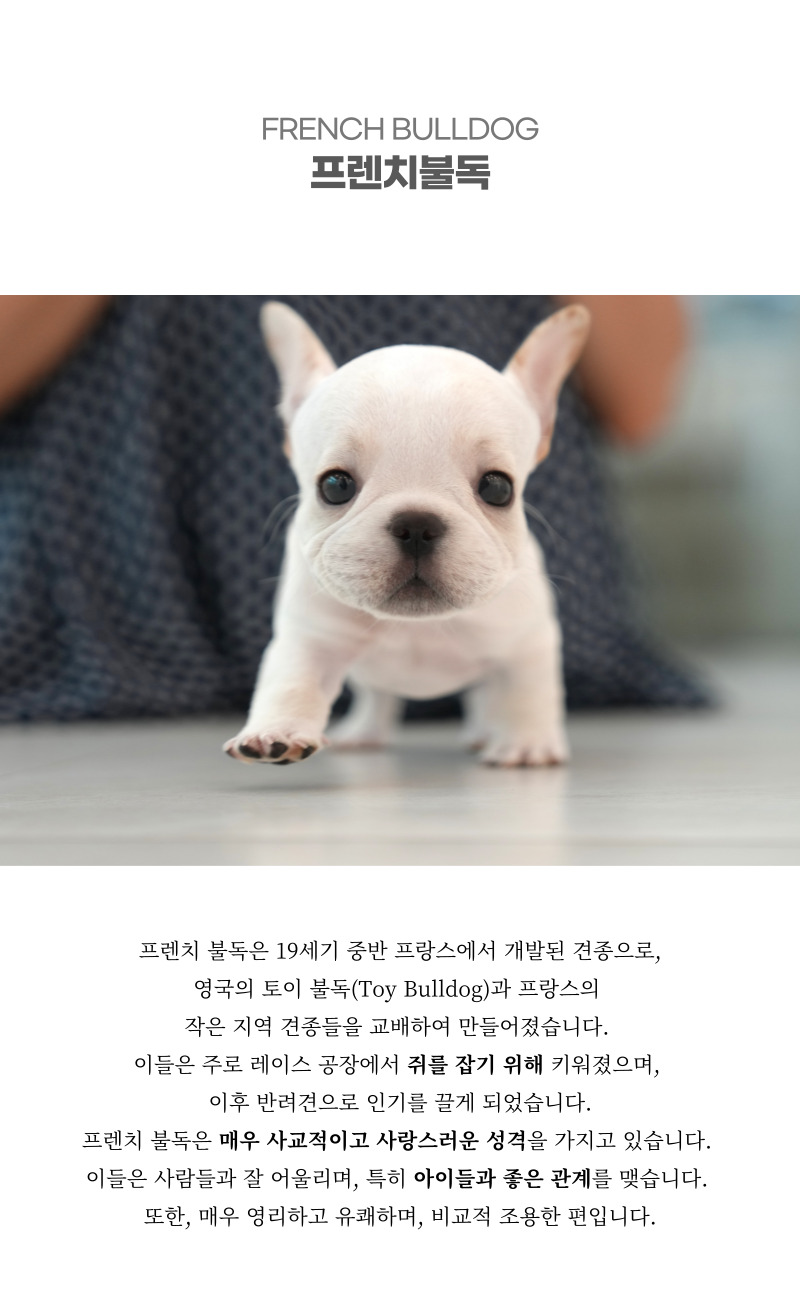 프불_상세이미지_2