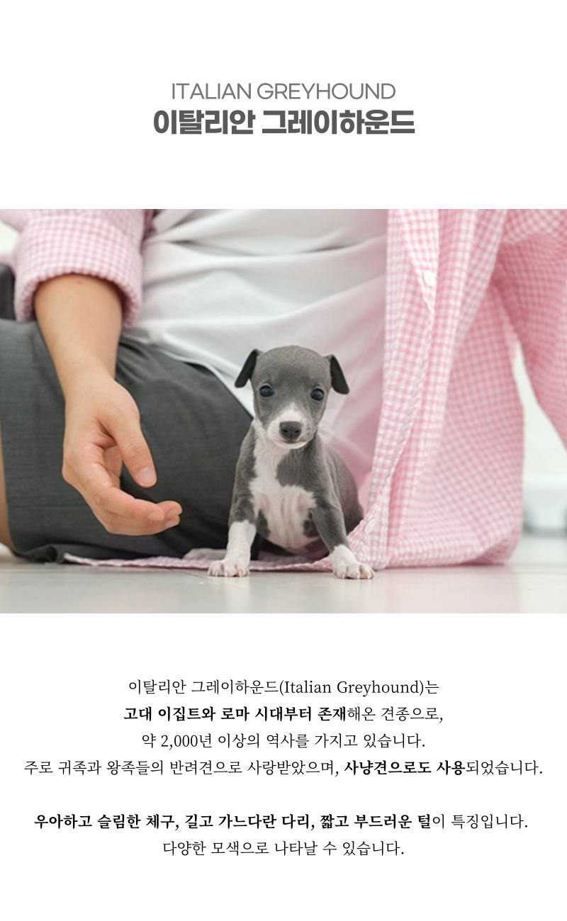 ig_상세이미지_2