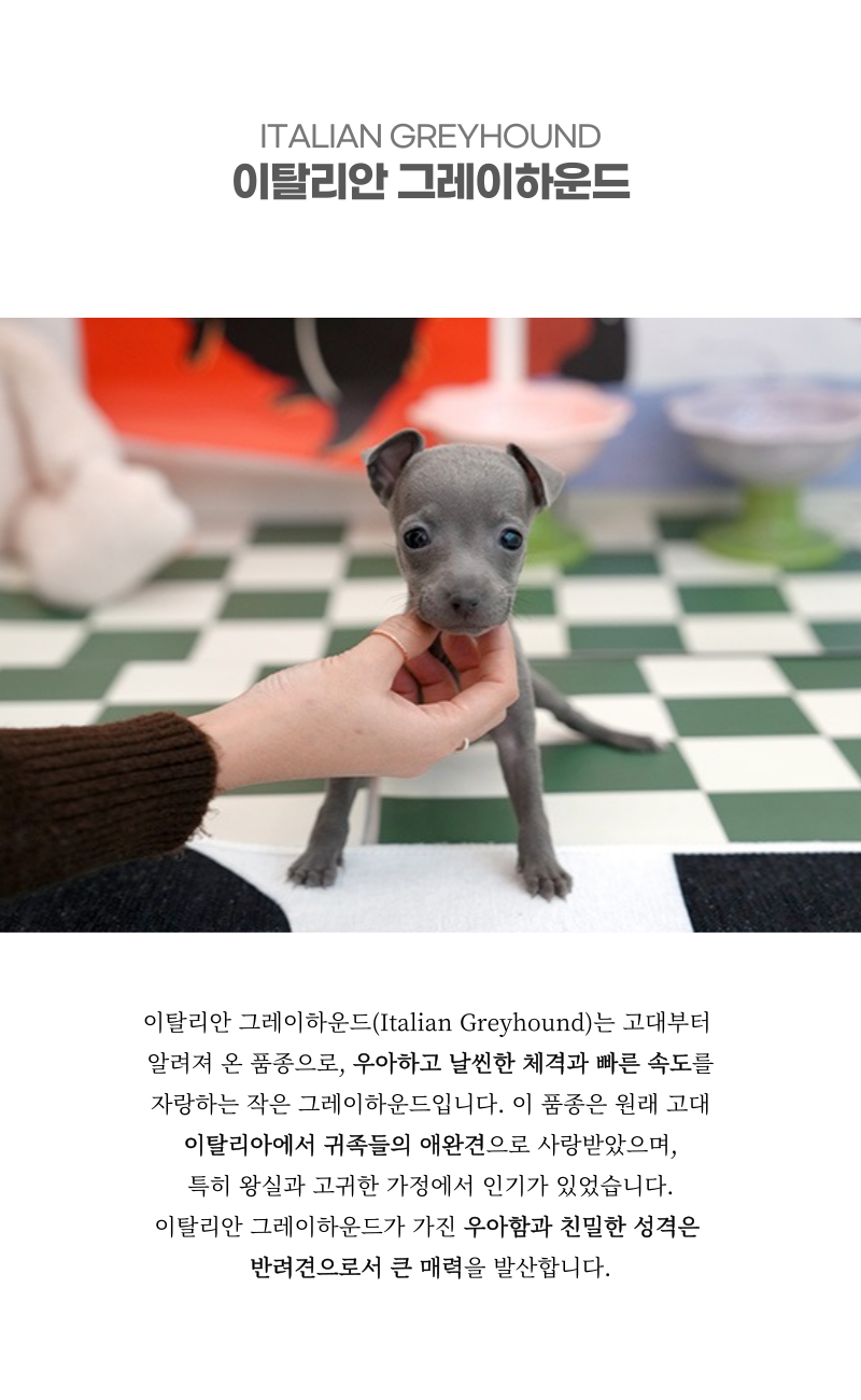 스콧_상세이미지_2