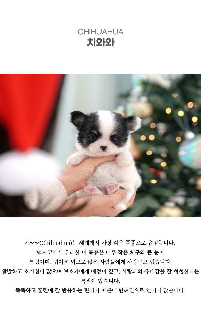 퐁듀_상세이미지_2