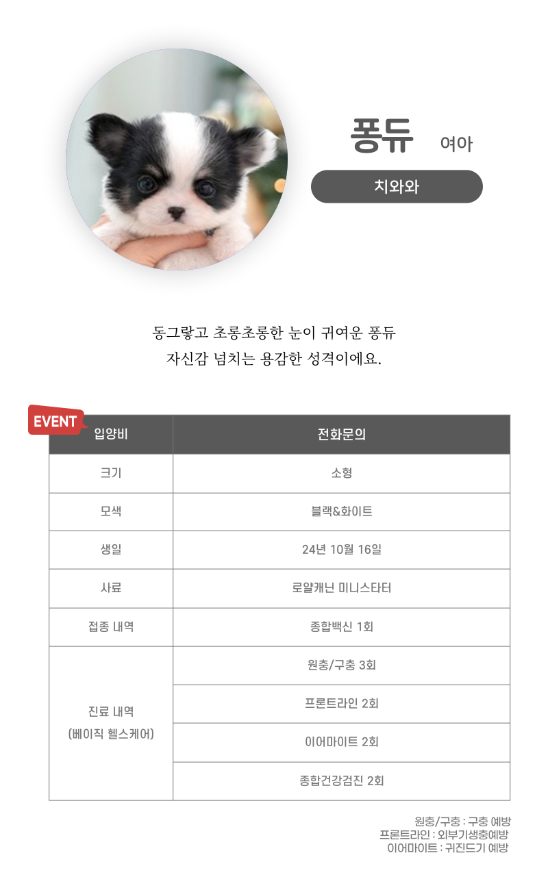 퐁듀_상세이미지_3