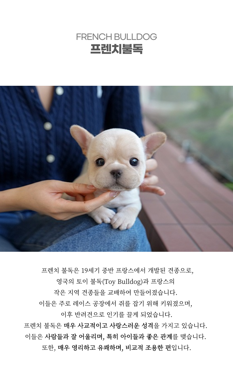 버터_상세이미지_2