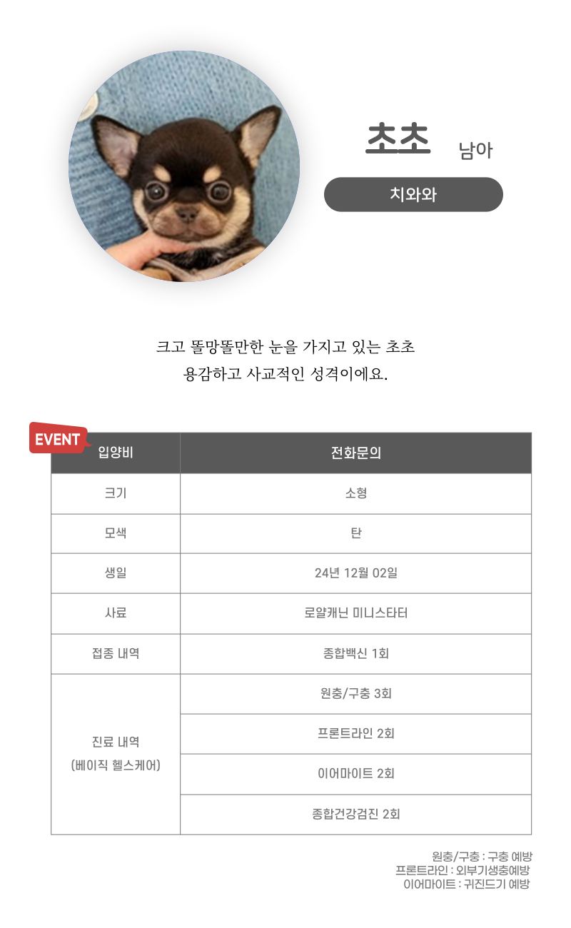 초초_상세이미지_3