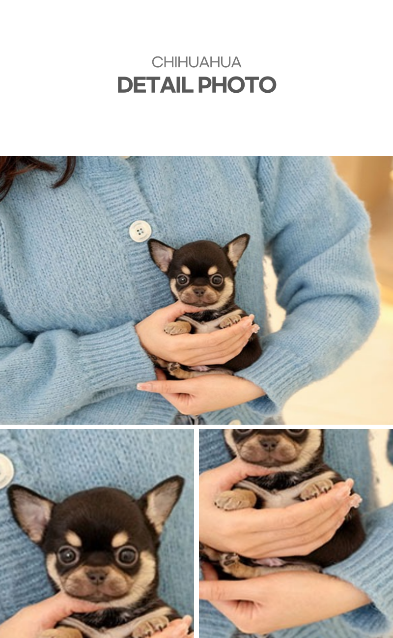 초초_상세이미지_5