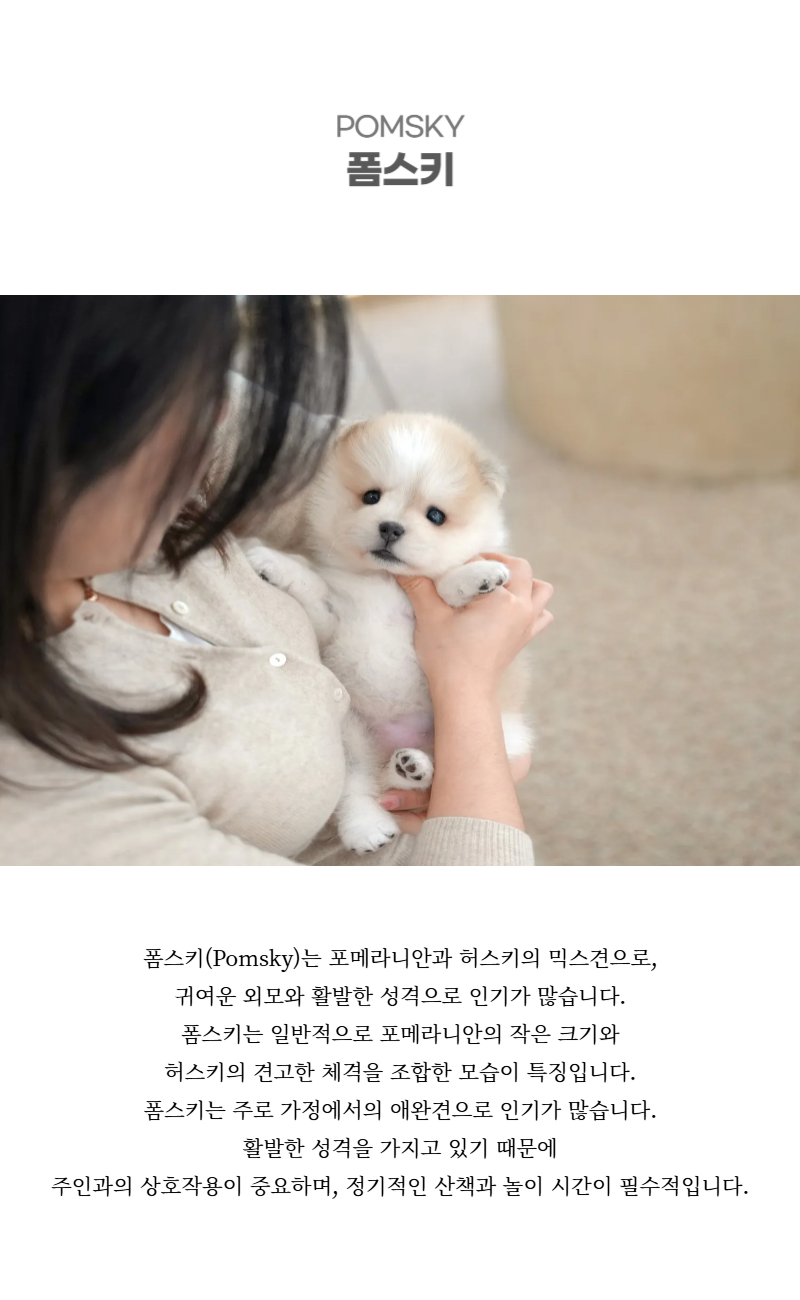 바닐라_상세이미지_2
