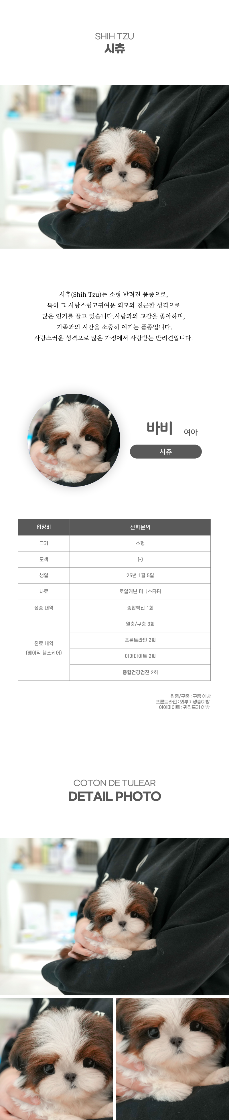쫑이_상세이미지_2