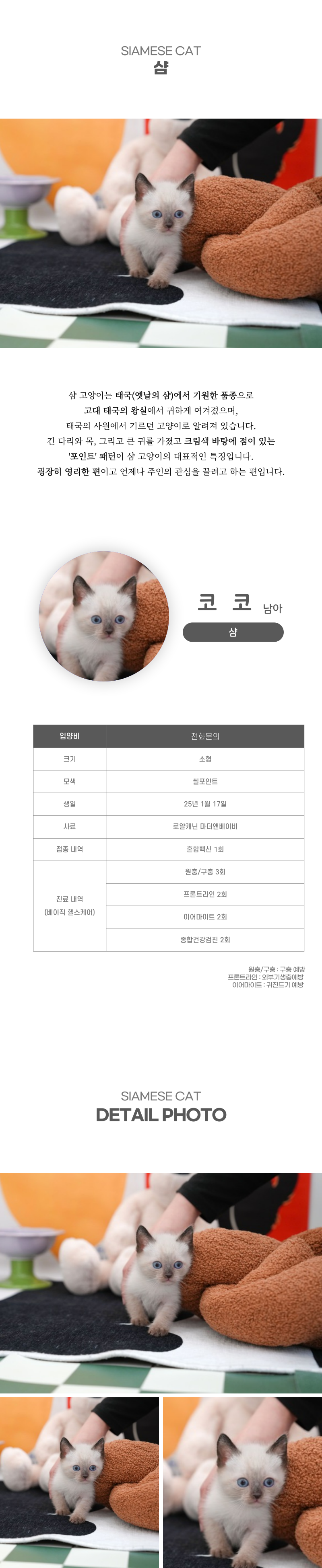 코코_상세이미지_2