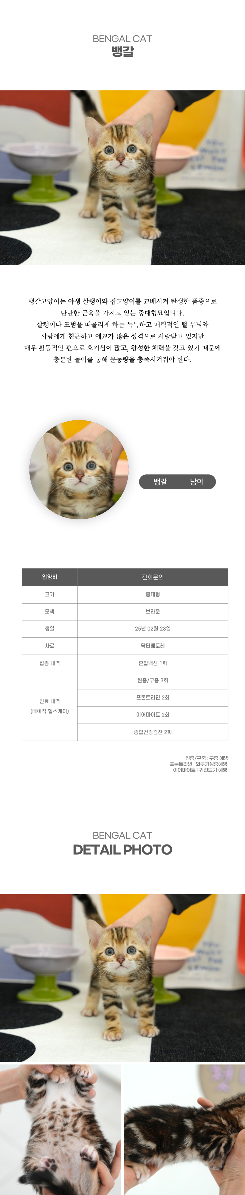 뱅갈_상세이미지_2