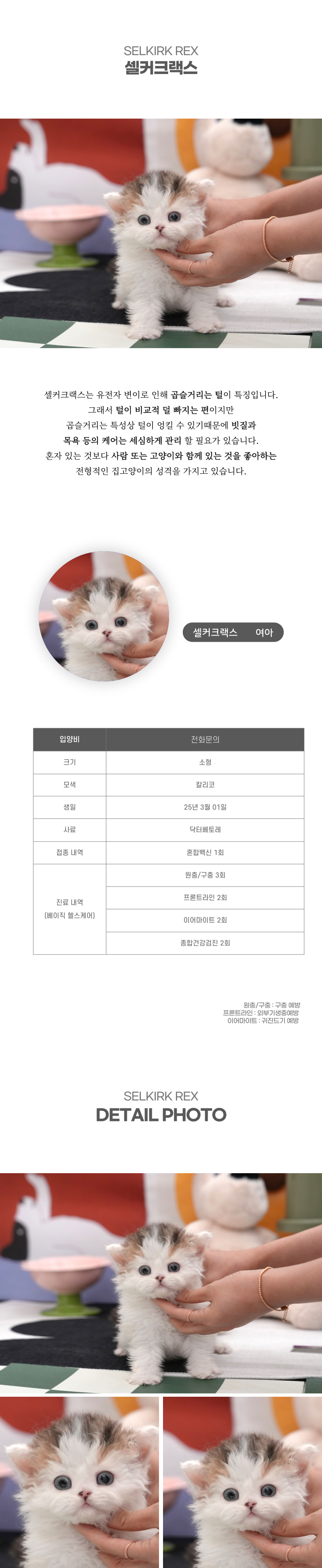 셀커크랙스_상세이미지_2