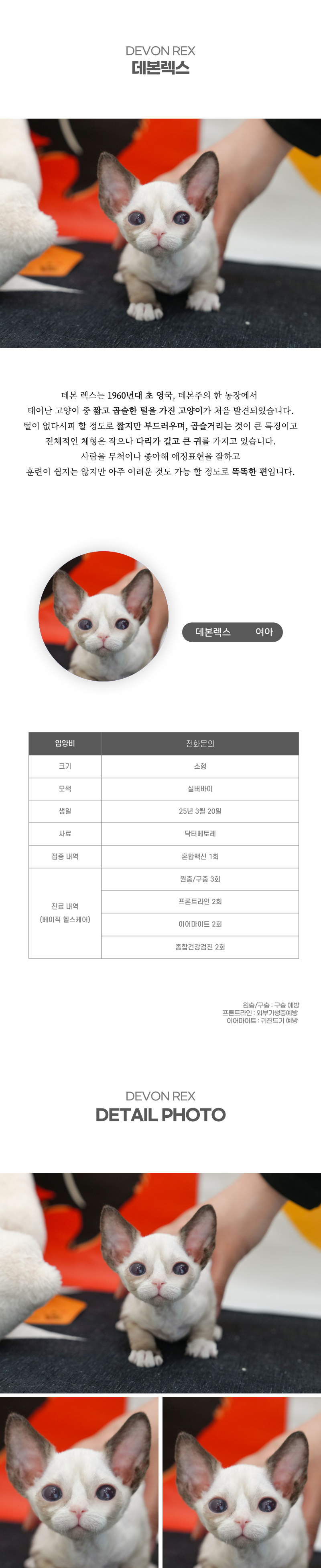 데본렉스_상세이미지_2