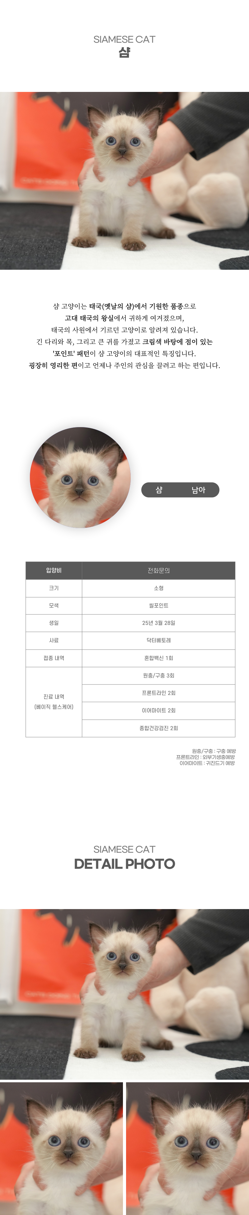 샴_상세이미지_2