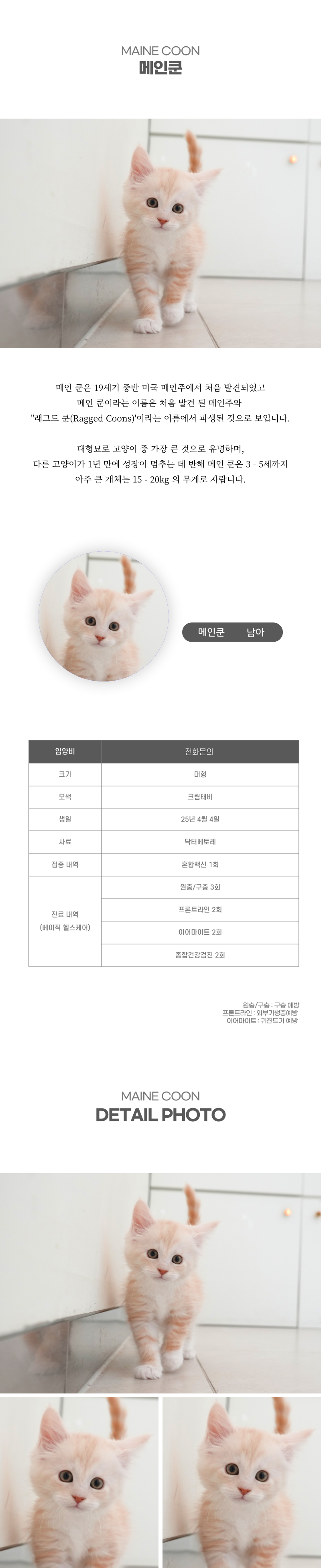 메인쿤_상세이미지_2