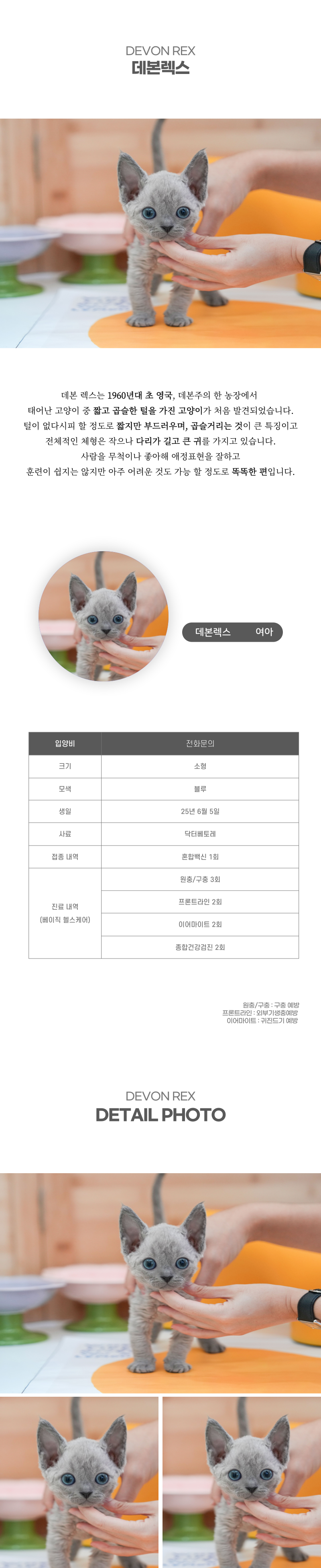 데본렉스_상세이미지_2
