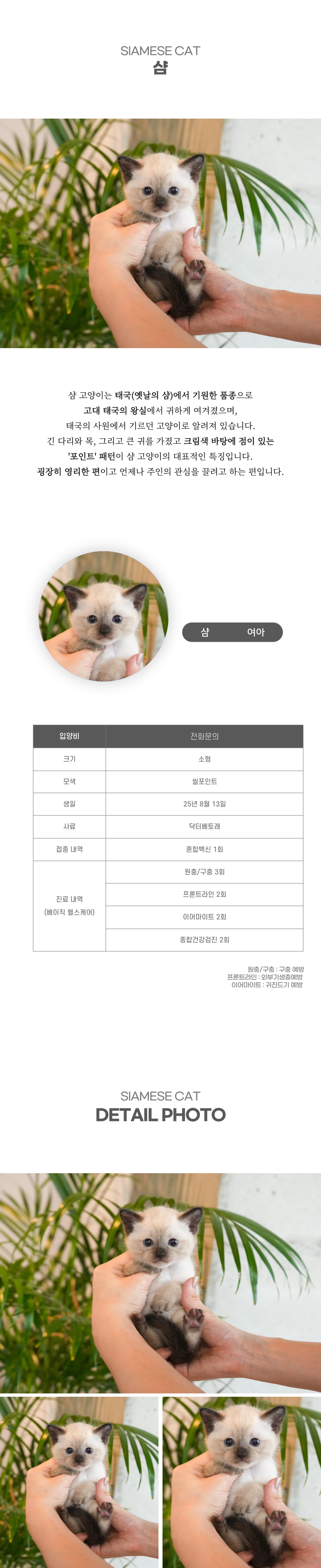 샴_상세이미지_2