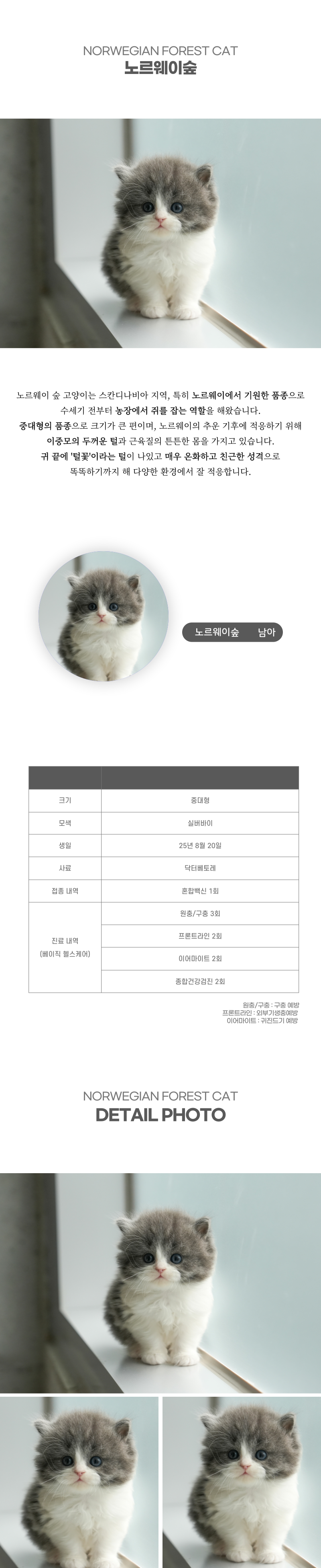 노르웨이숲_상세이미지_2