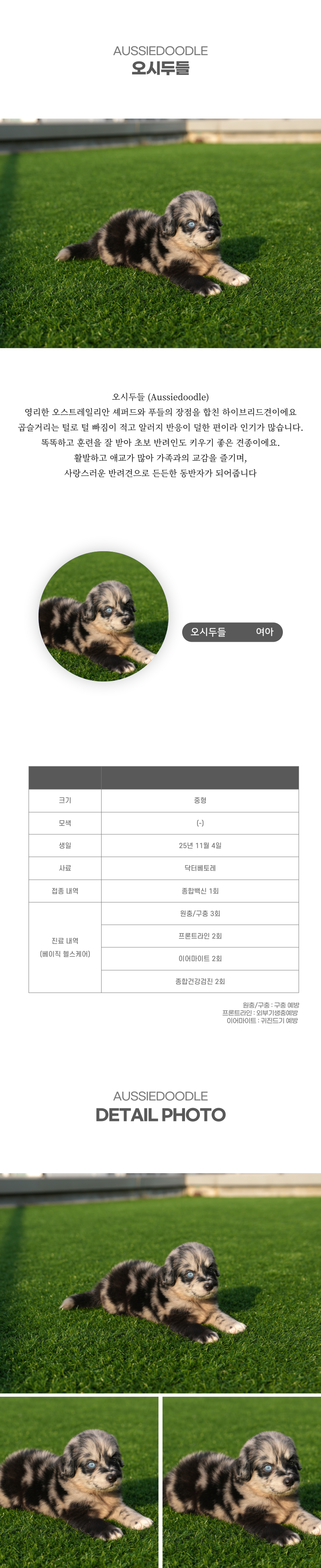 오시두들_상세이미지_2