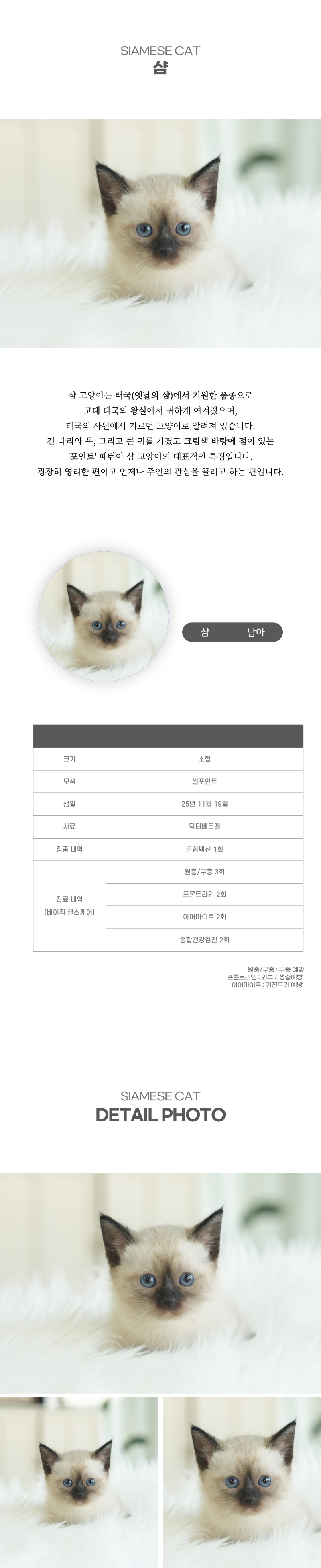 샴_상세이미지_2