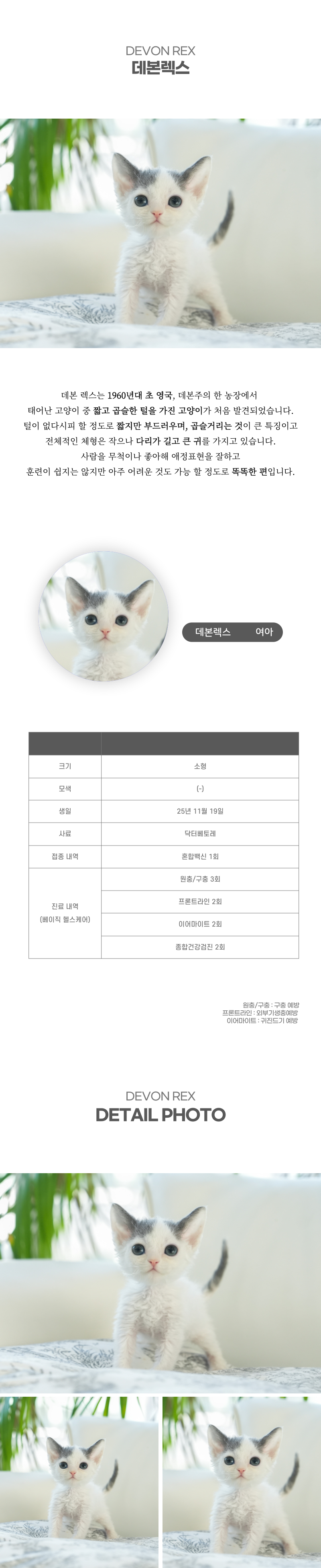 데본렉스_상세이미지_2