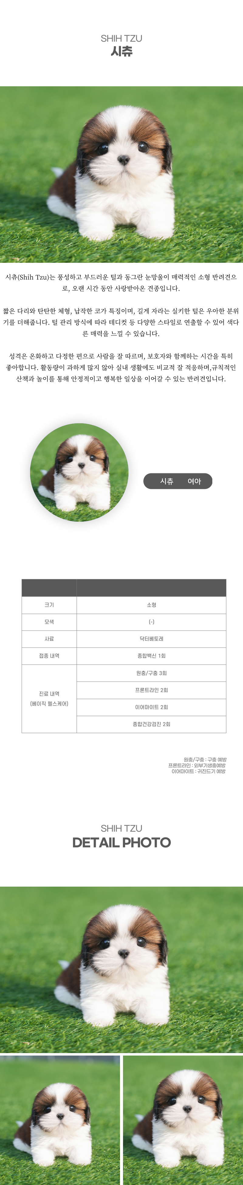 시츄_상세이미지_2