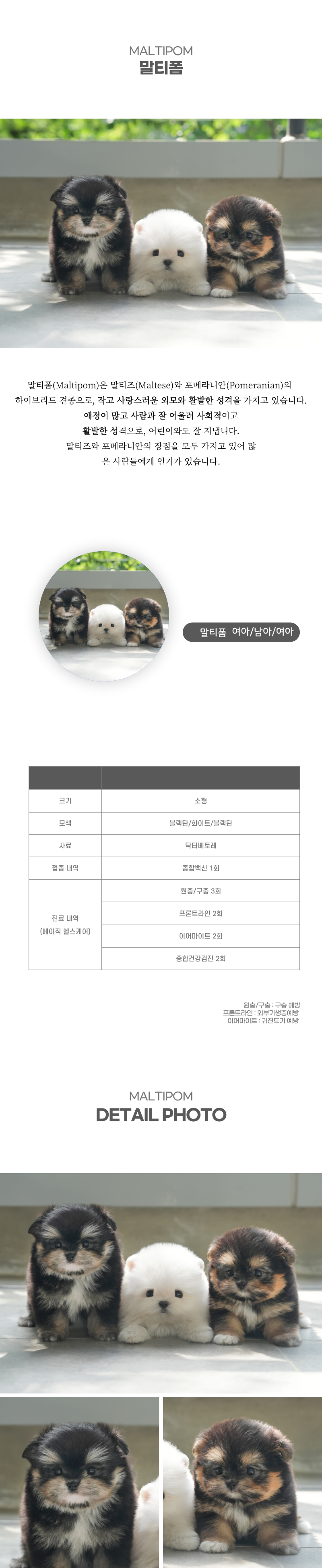 말티폼_상세이미지_2