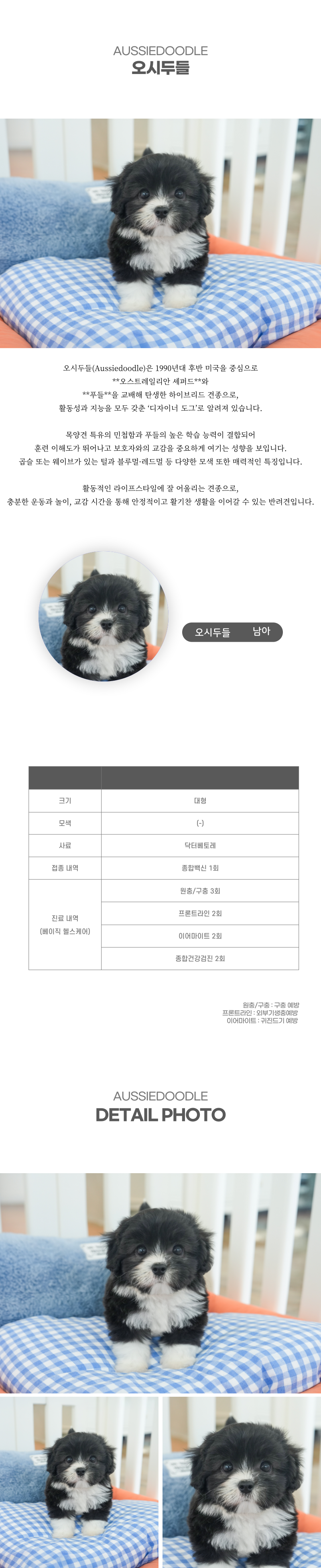 오시두들_상세이미지_2