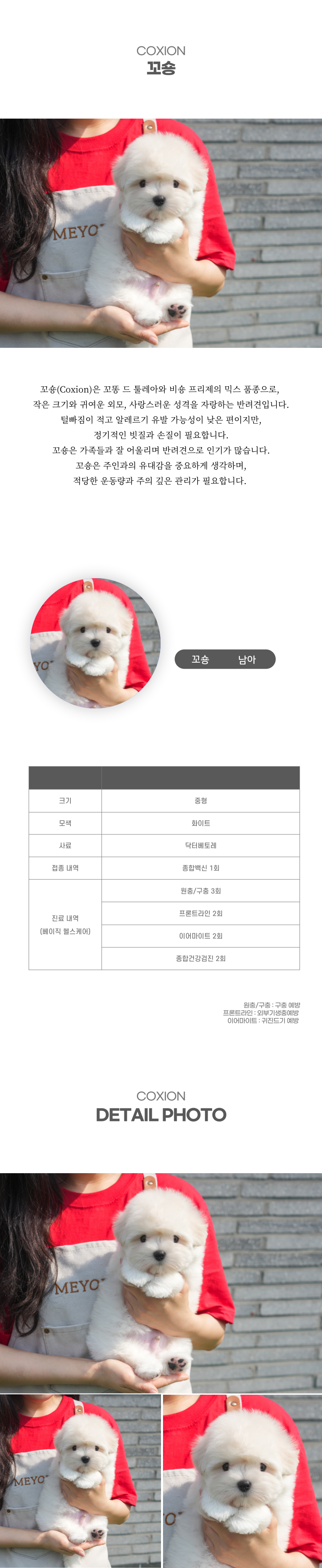 꼬숑_상세이미지_2