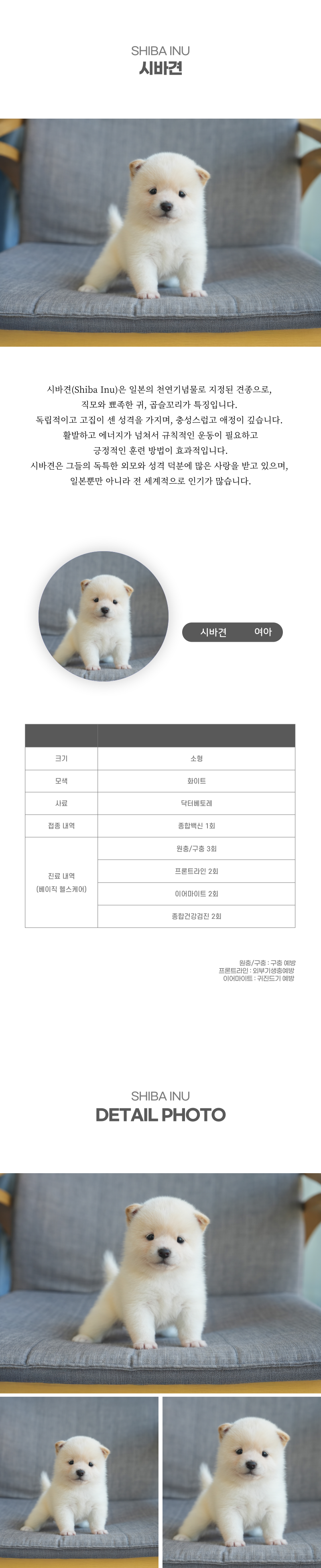 시바견_상세이미지_2