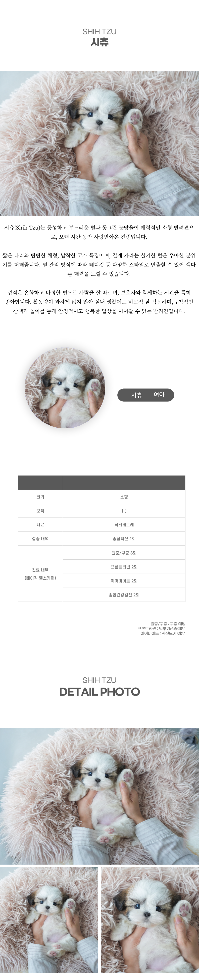 시츄_상세이미지_2