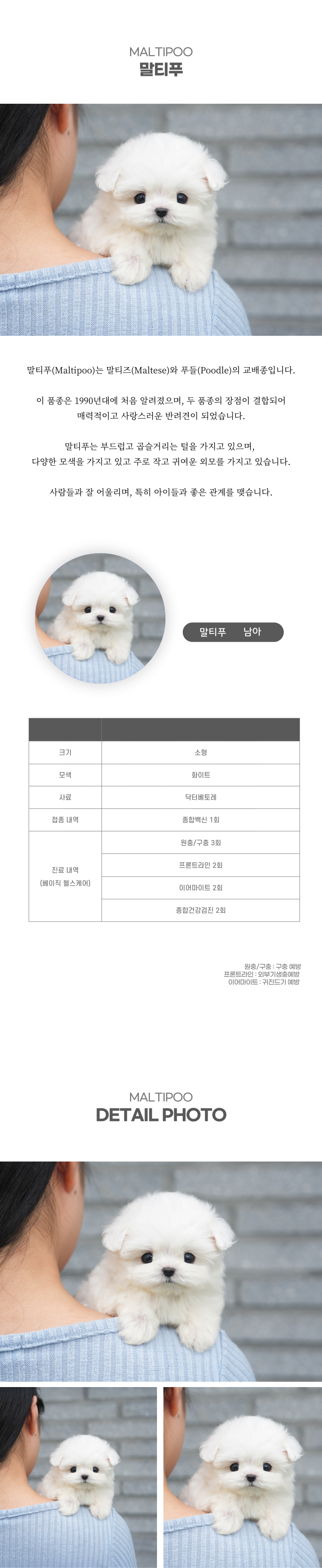 말티푸_상세이미지_2