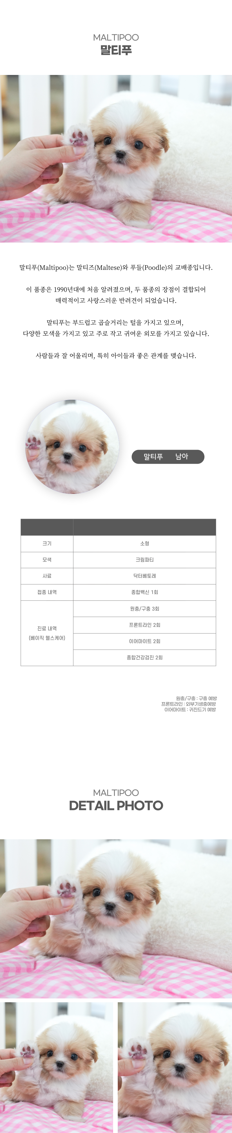 말티푸_상세이미지_2