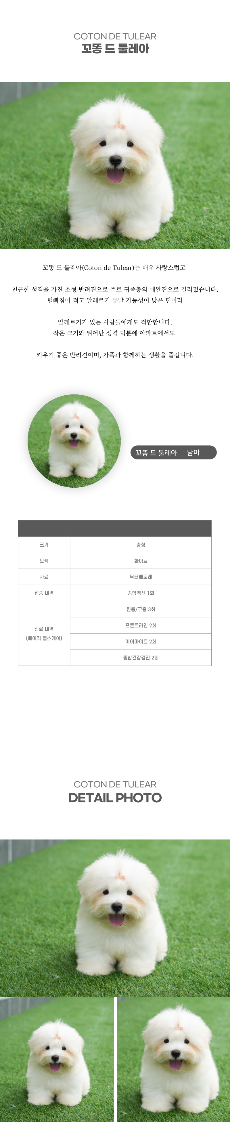 꼬똥_상세이미지_2