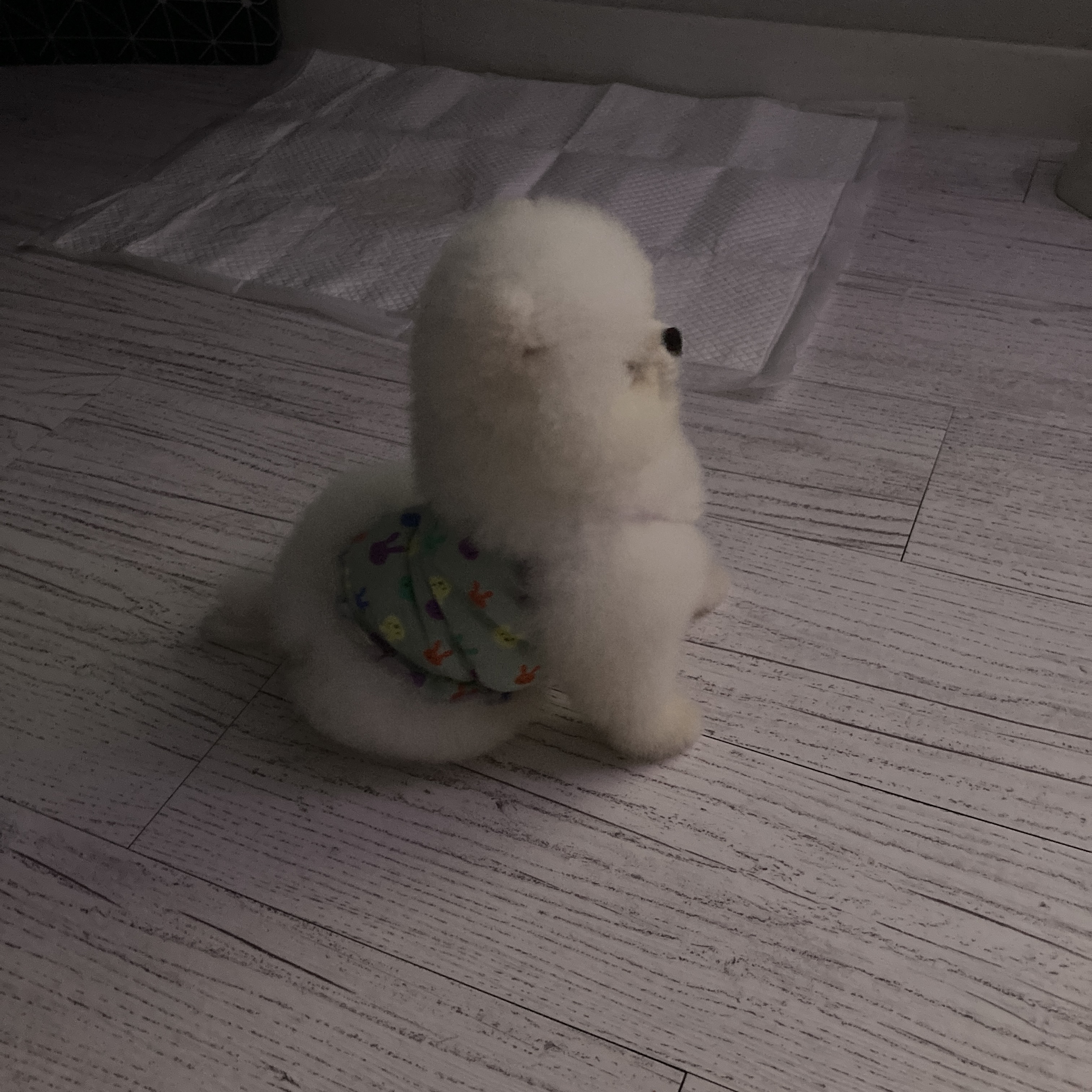 오늘이 보호자_상세페이지_1
