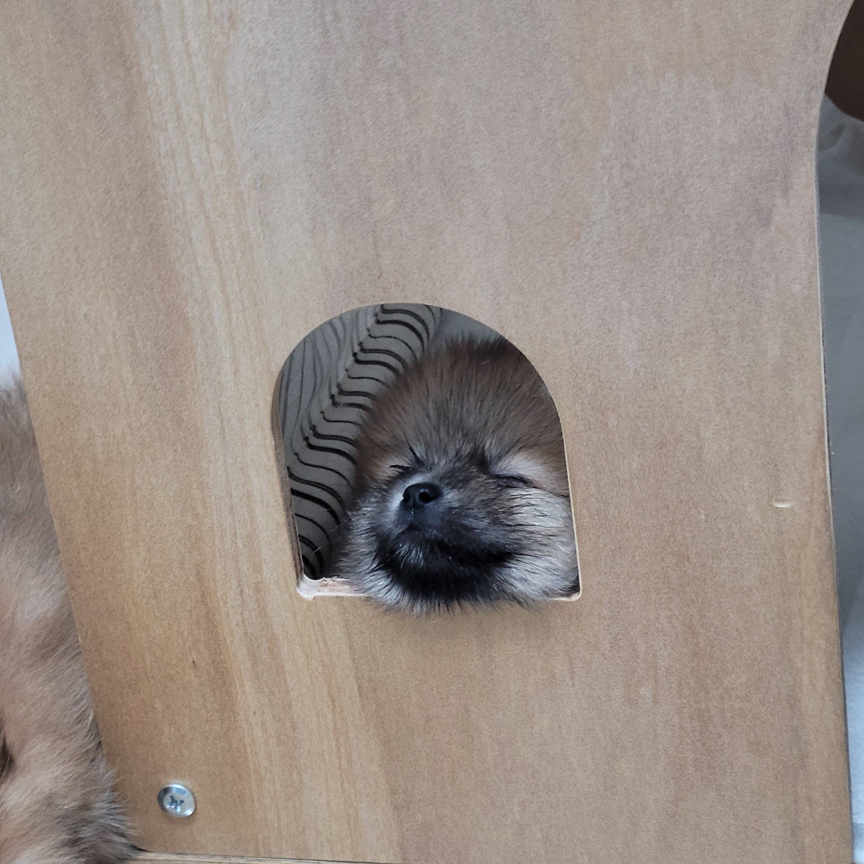 짜루 보호자_상세페이지_1