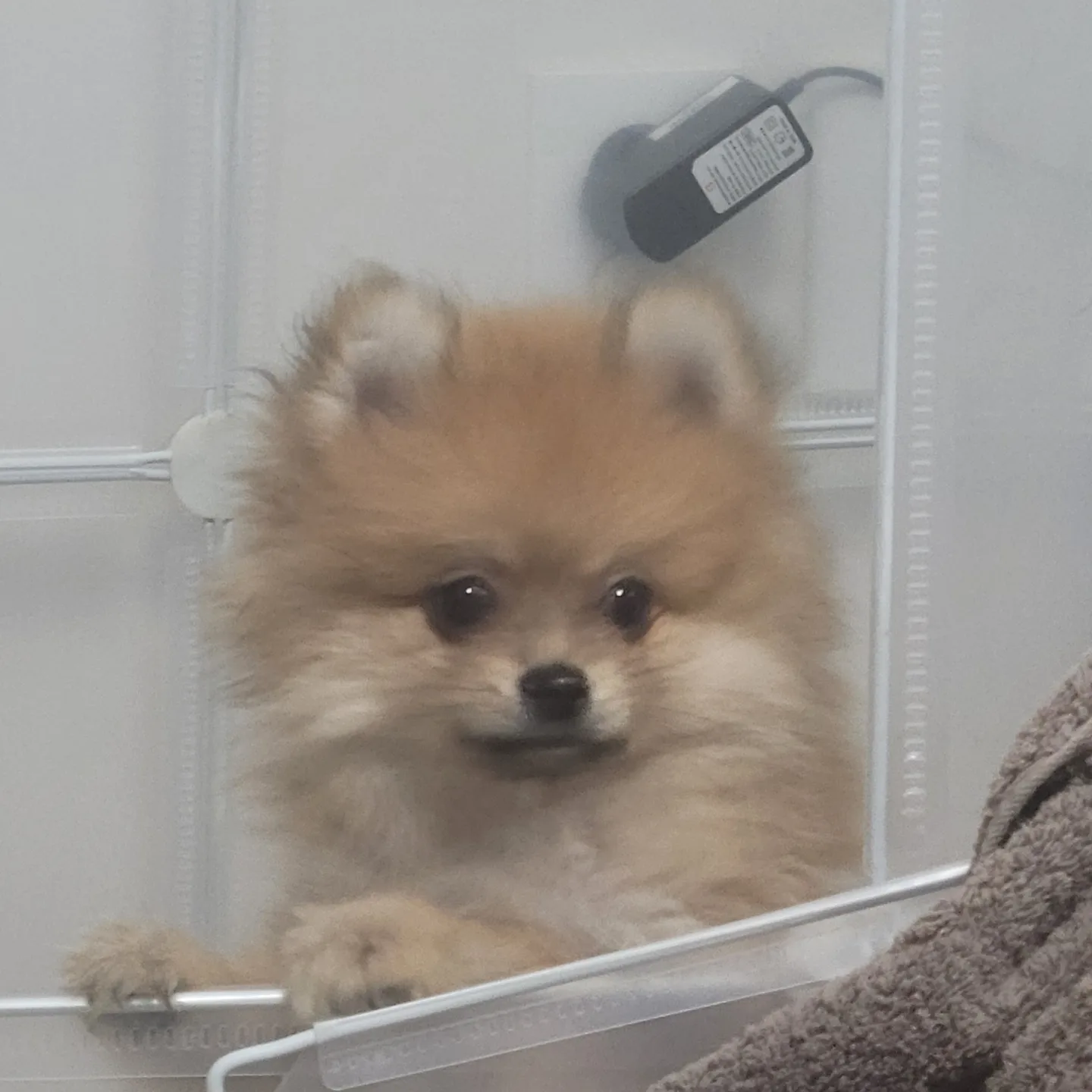 젤리 보호자_상세페이지_1