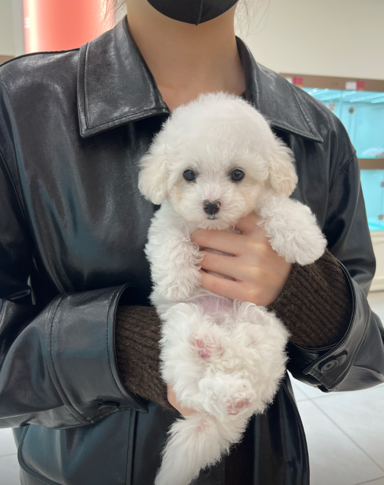 엘리 보호자_상세페이지_1