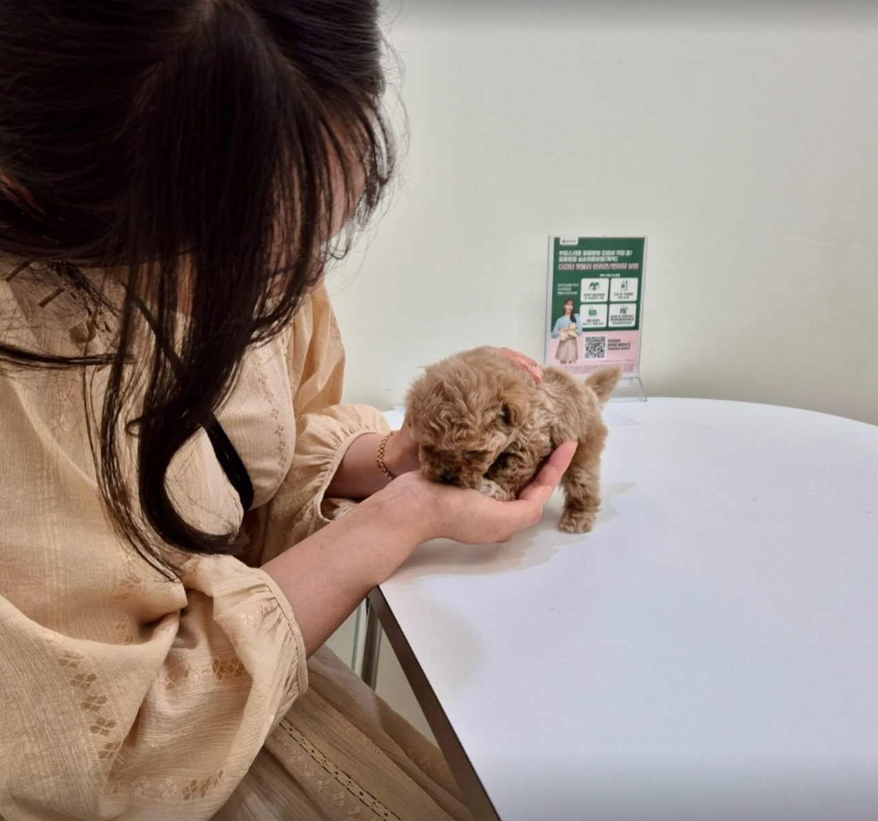 방울이 보호자_상세페이지_1