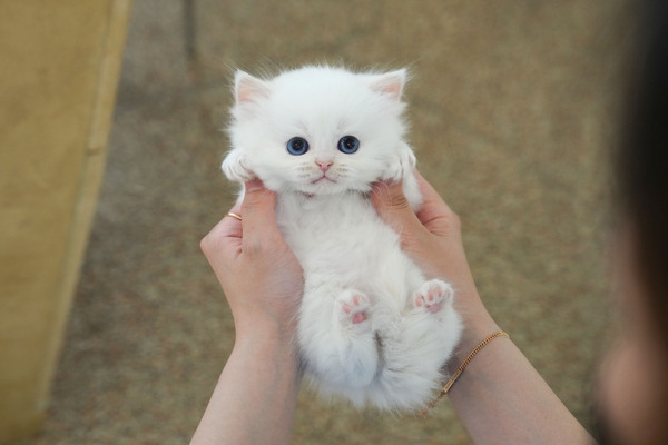 페르_35_남_오산농장(16).jpg