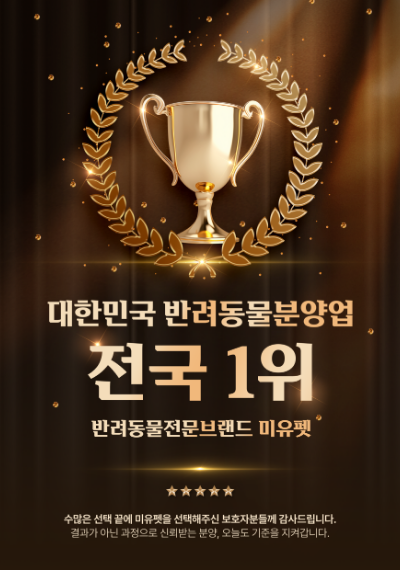 미유펫서울_팝업_2