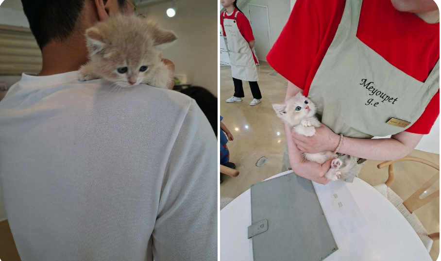 네이버실제리뷰_상세페이지_1