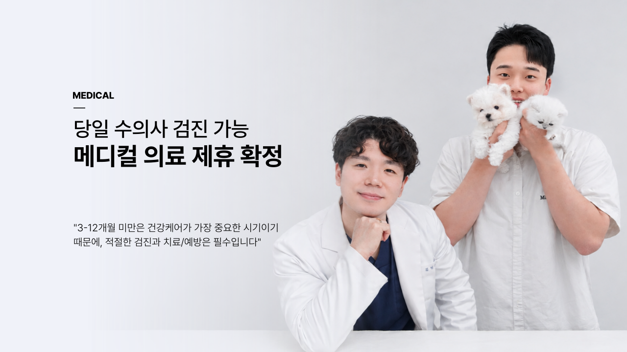 메인슬라이드_1