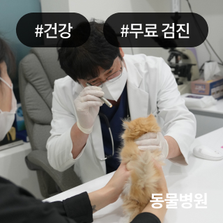 미유펫서울_회사소개_섹션_1_2