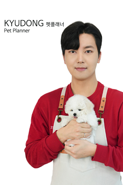 미유펫_서울_펫플래너
