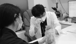 미유펫수원_메뉴_2_2_off