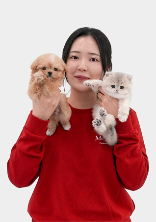 미유펫서울_펫플래너6